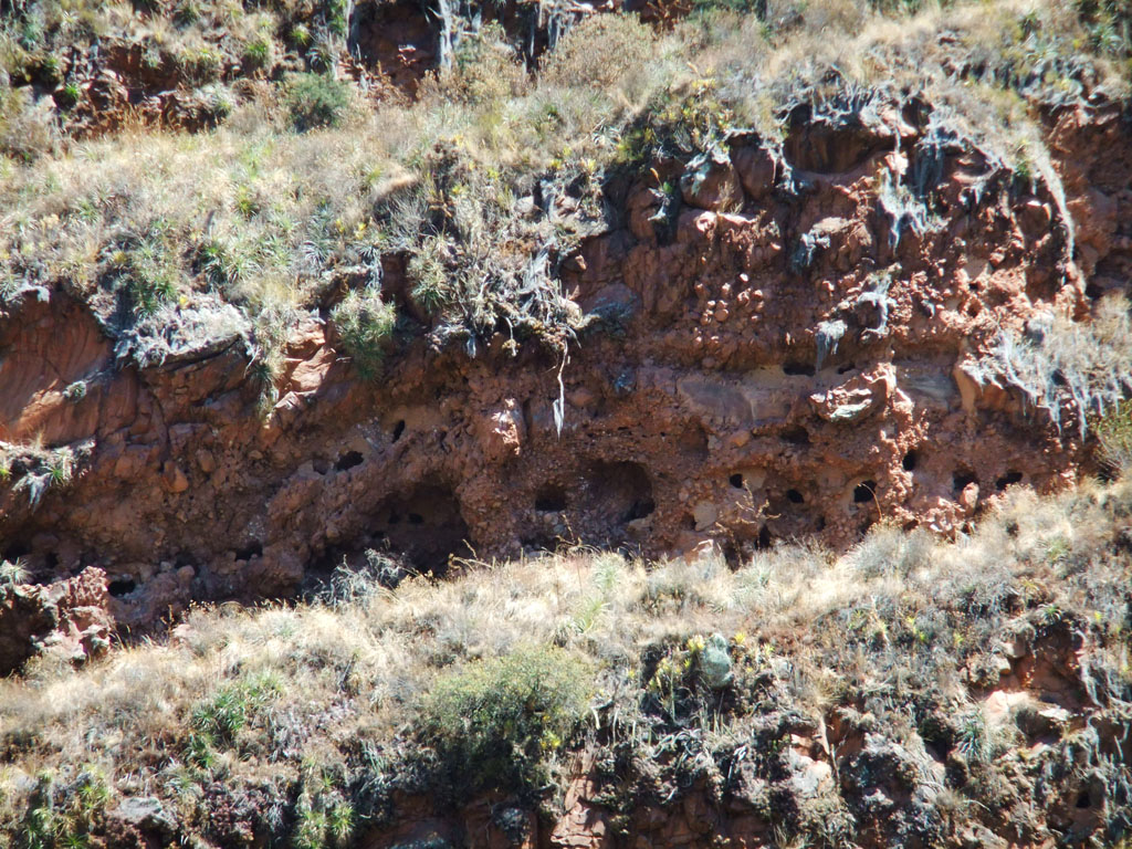 DSCF4114.JPG