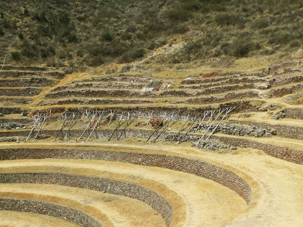 DSCF4427.JPG
