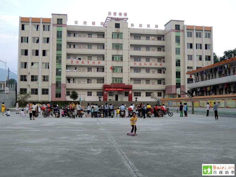 广东省乐昌市沙坪镇中学图书角项目调查报告