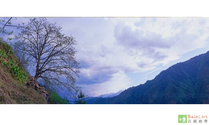 a060.jpg