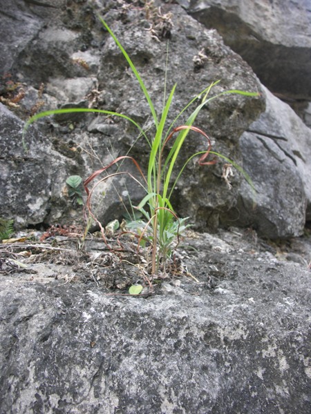 PICT0168.JPG