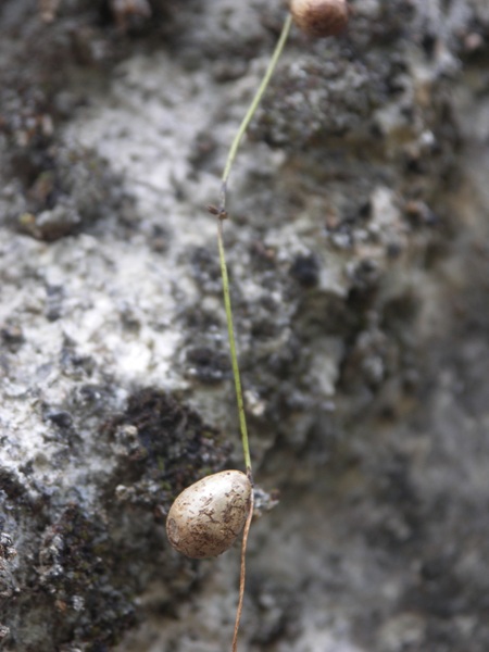 PICT0165.JPG