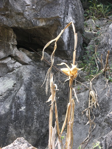 PICT0207.JPG