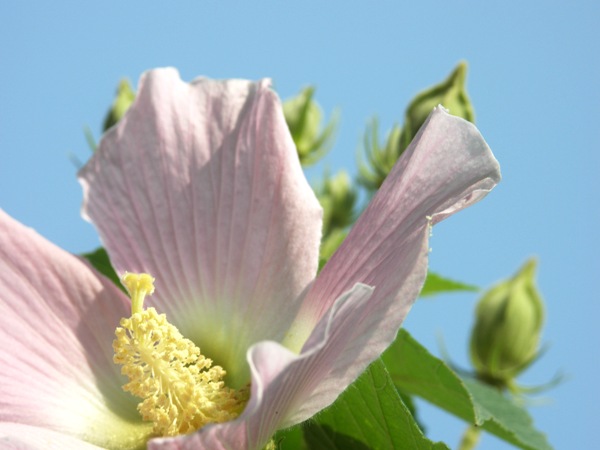 PICT0299.JPG
