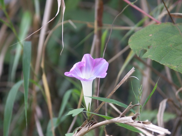 PICT0182.JPG