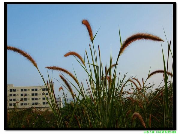 DSCN7019.jpg
