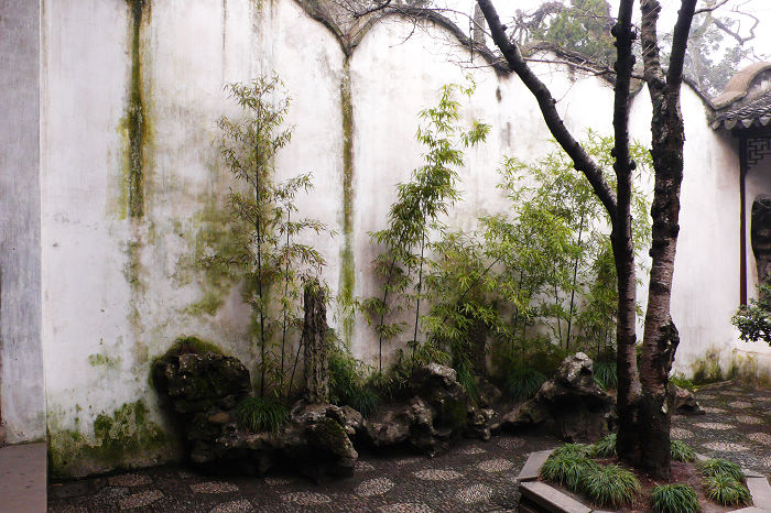 P1050442.jpg
