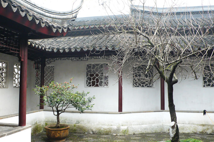 P1050443.jpg