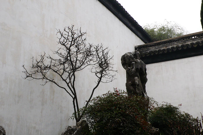 P1050467.jpg