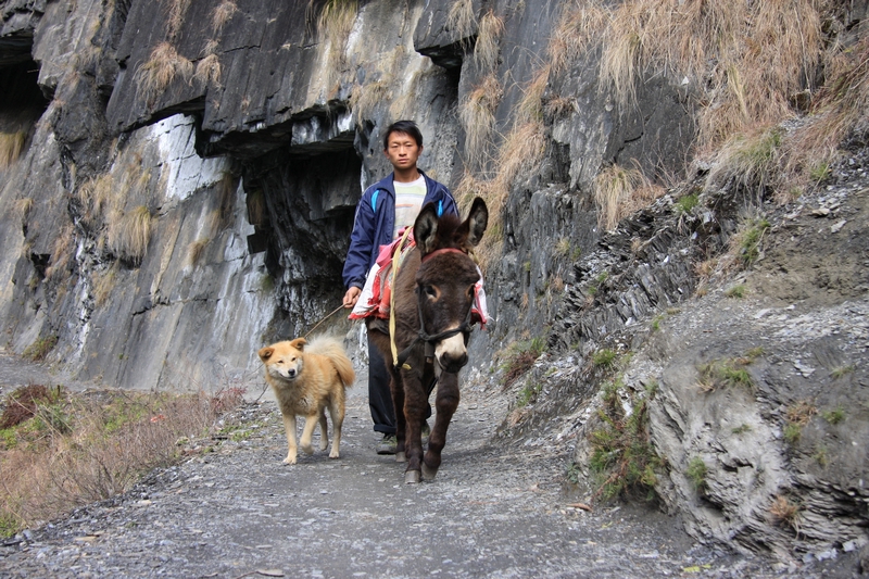 201002 D5 (72).jpg