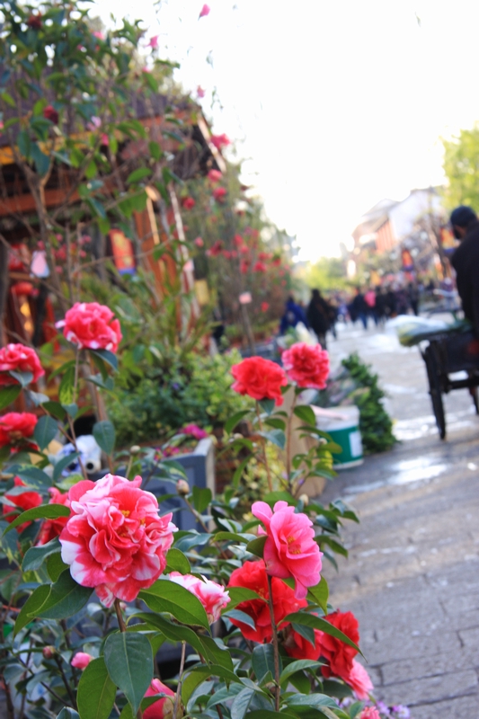 201002 E1 (11).jpg