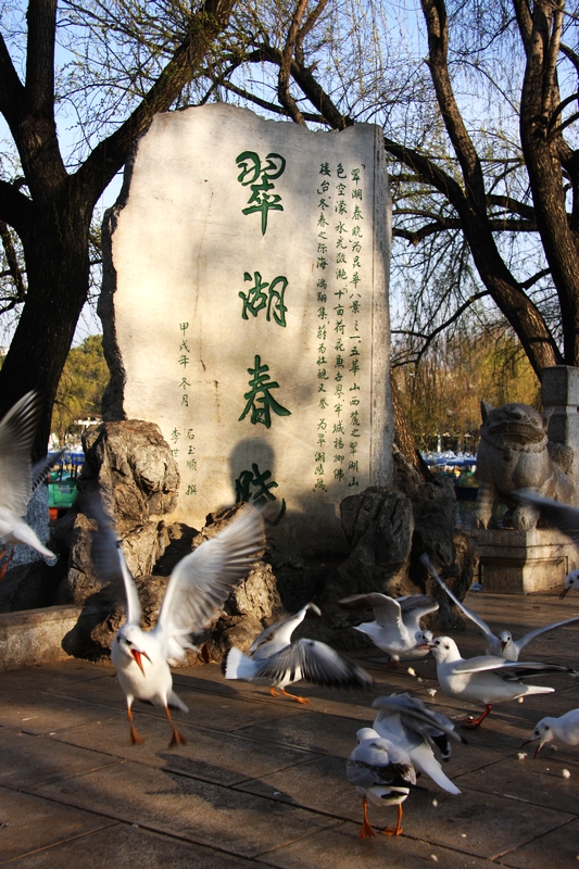 201002 G2 (45).jpg