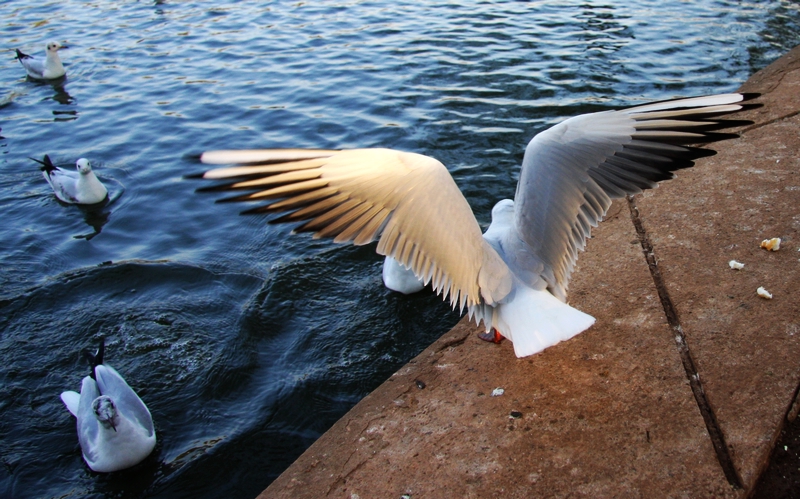 201002 G1 (41).jpg
