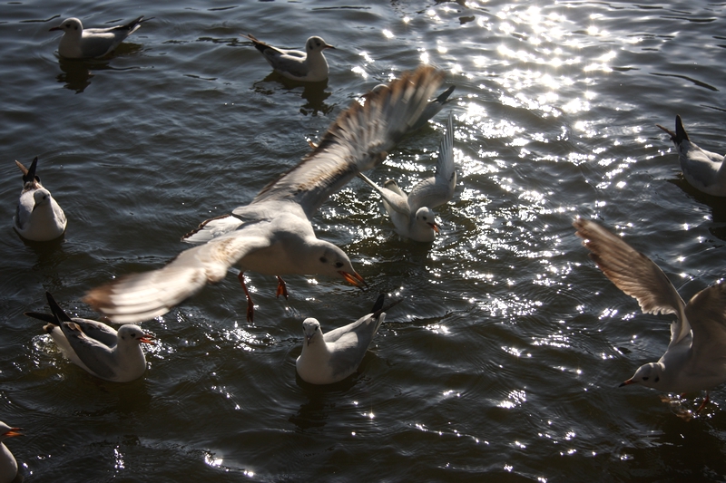201002 G3 (36).jpg