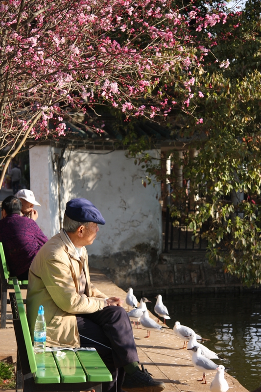 201002 G4.jpg
