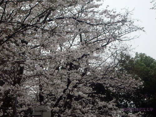 IMGP6196.JPG