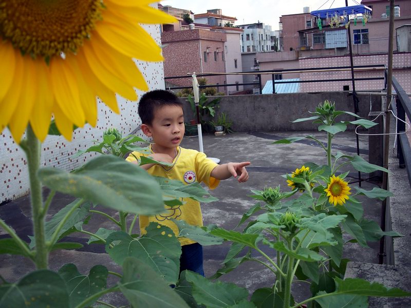 100_9340.jpg