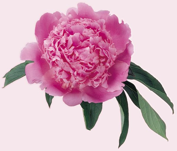 20100821.jpg