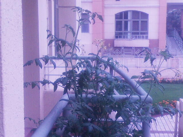 20100903090431.jpg