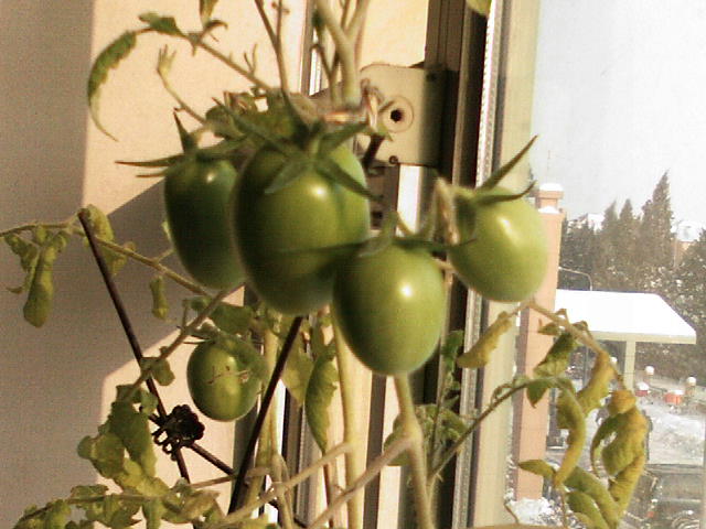 20100104100508.jpg