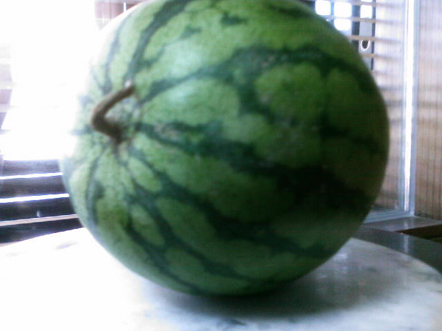 20101014091249.jpg
