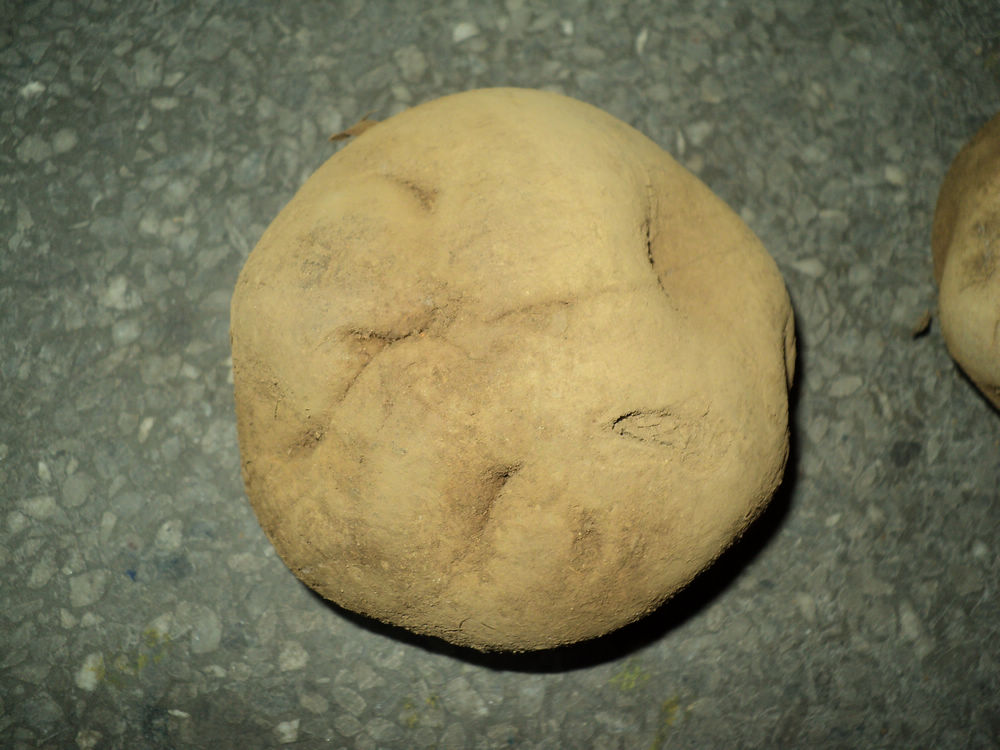 DSC00829.JPG