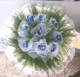 20071013155729[1].jpg