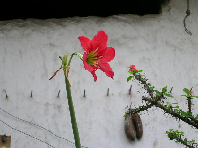 DSCN0883.JPG