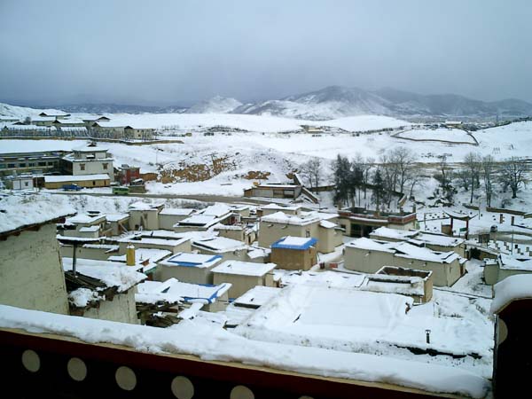 CIMG0124.JPG