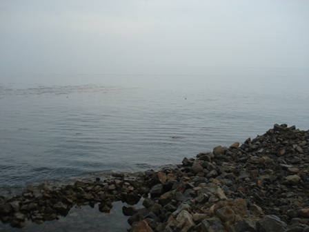 DSC00822.JPG
