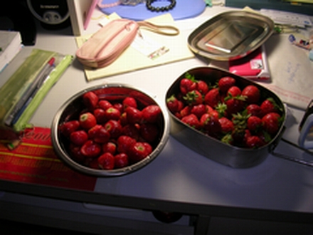 DSCN3223.JPG