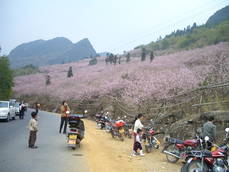 CIMG3485.JPG
