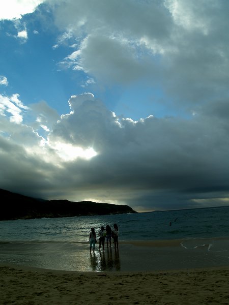 P1017385.jpg