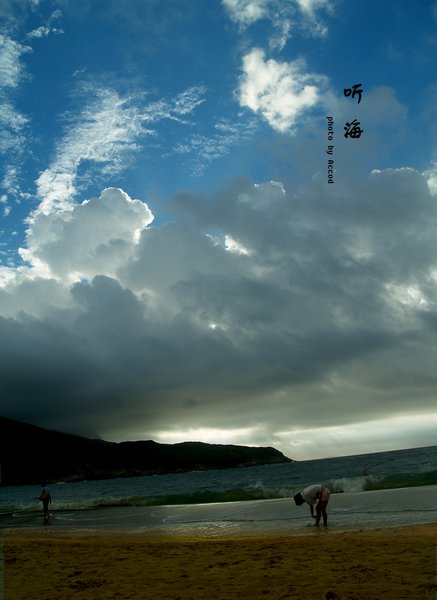 P1017387.jpg