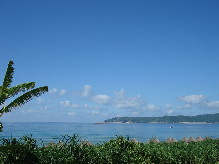DSC011641111.jpg