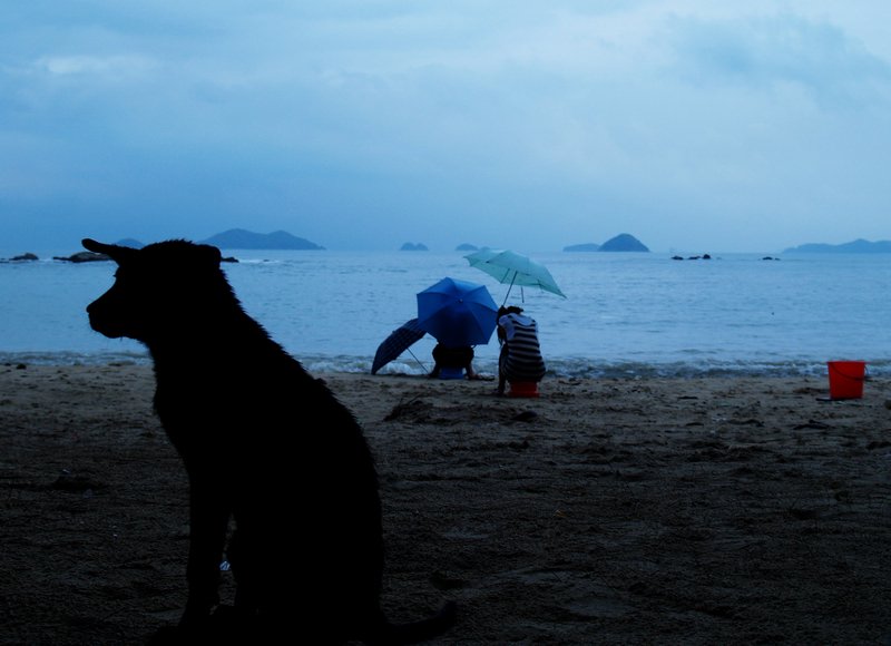 P1017509.JPG