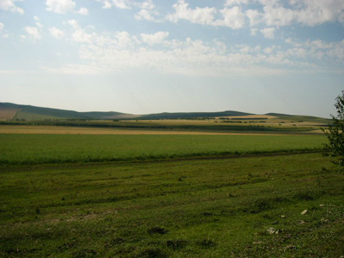 P1120438.JPG