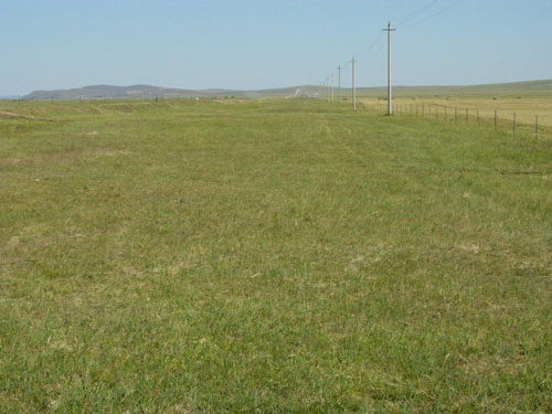 P1120514.JPG