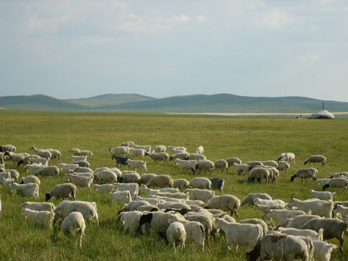 P1120734.JPG