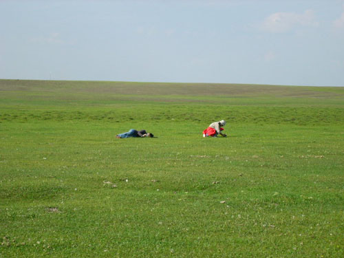 P1120727.JPG