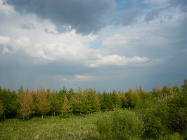 P1120736.JPG
