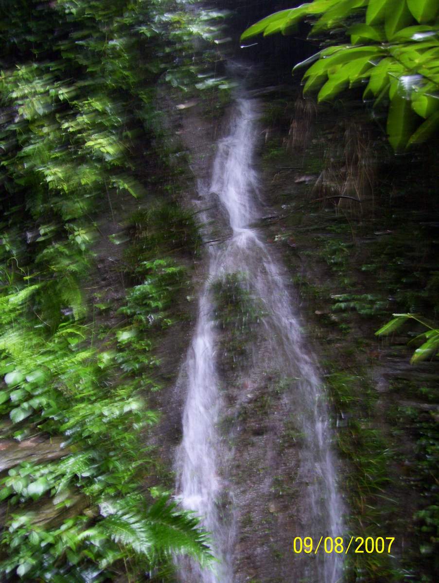 ˼ 246.JPG