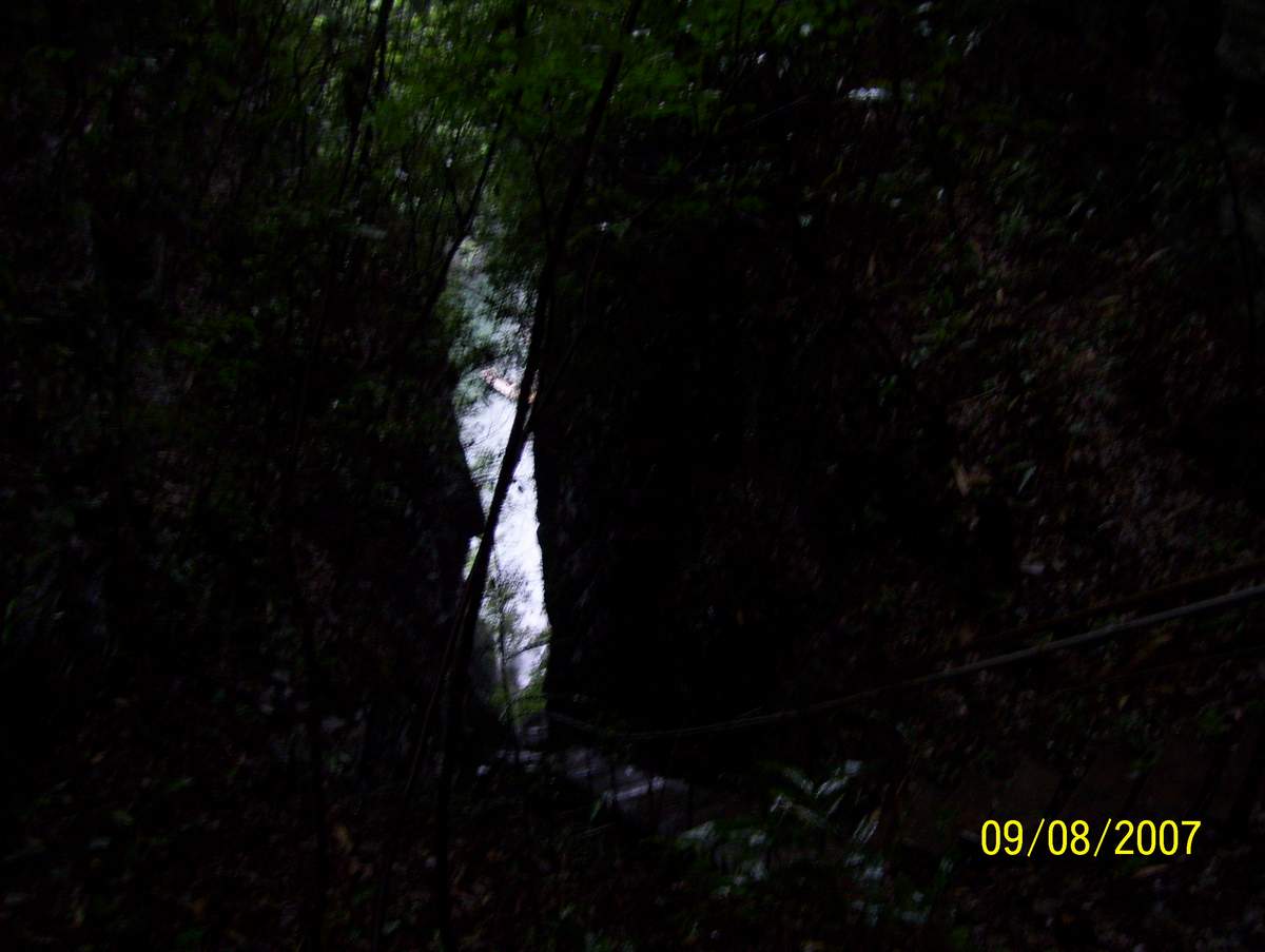 ˼ 238.JPG