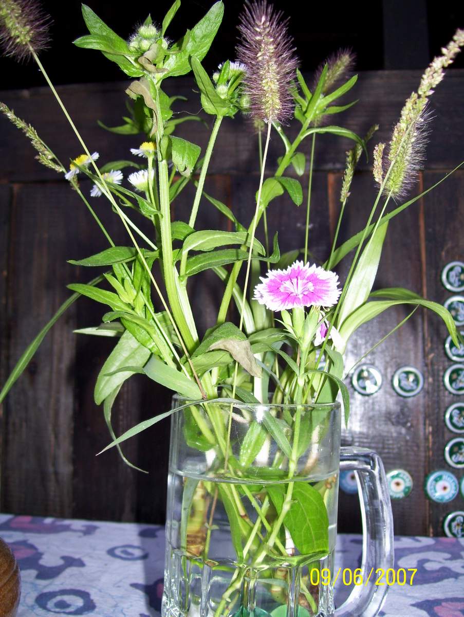 ˼ 069.JPG