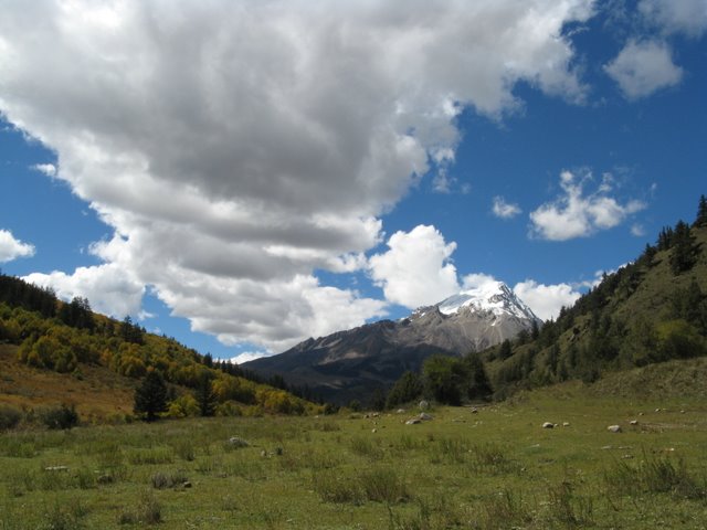IMG_1560.JPG