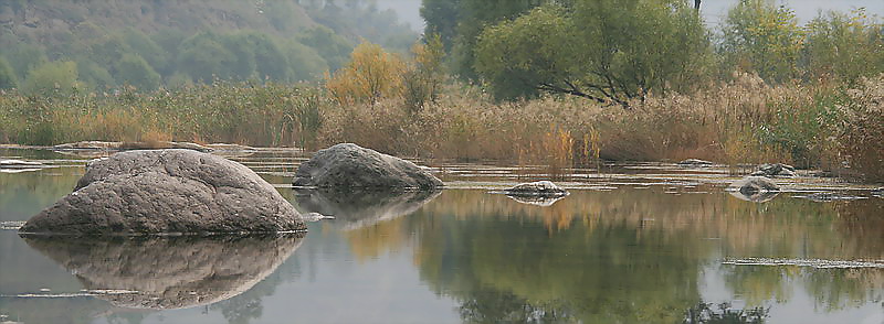 IMG_2136.JPG