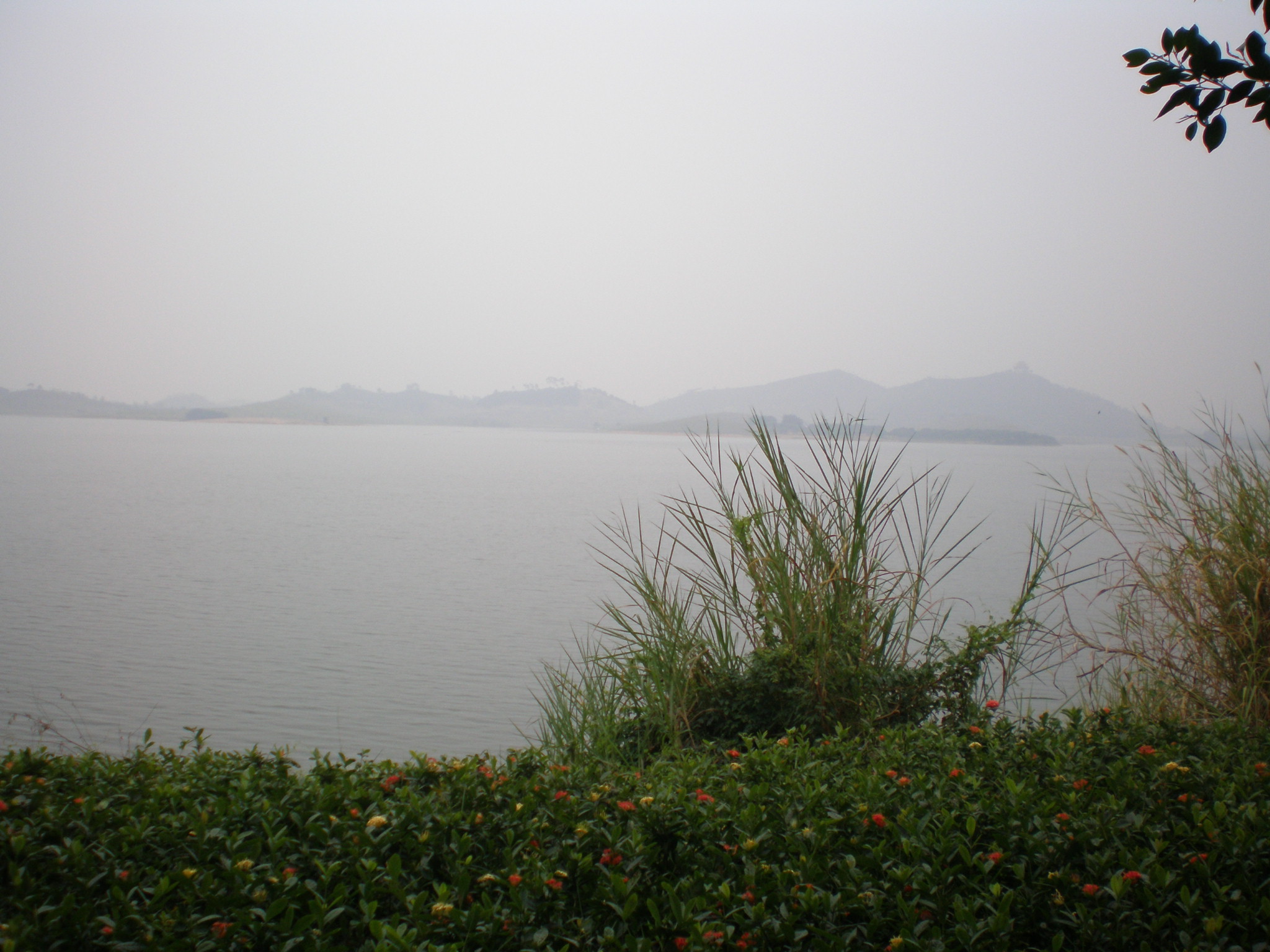 PA280021.JPG