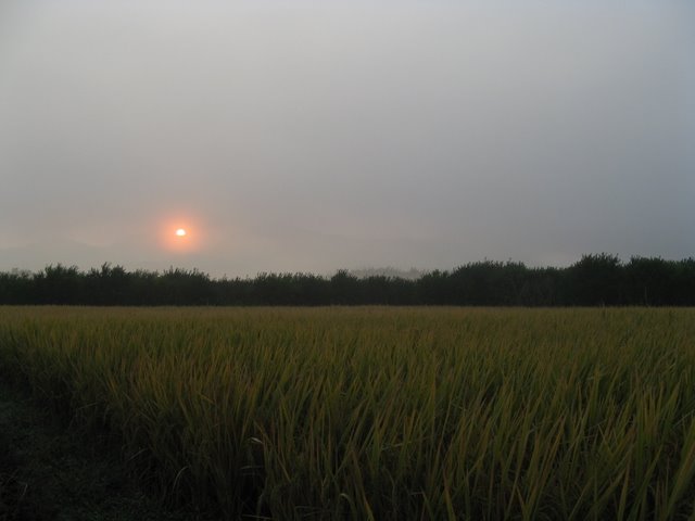IMG_1349.JPG