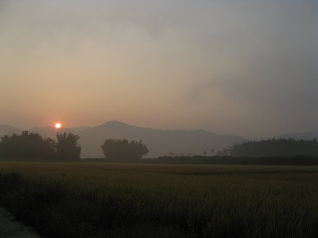 IMG_1350.JPG