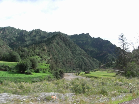 RIMG0061.JPG